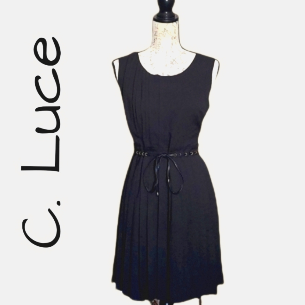 C. Luce Sleeveless Pleated Fit and Flare Knee-Length Black Dress